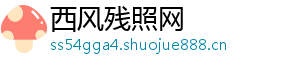 西风残照网